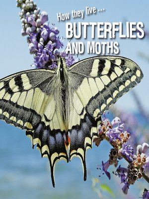 cover image of How they live... Butterflies and Moths